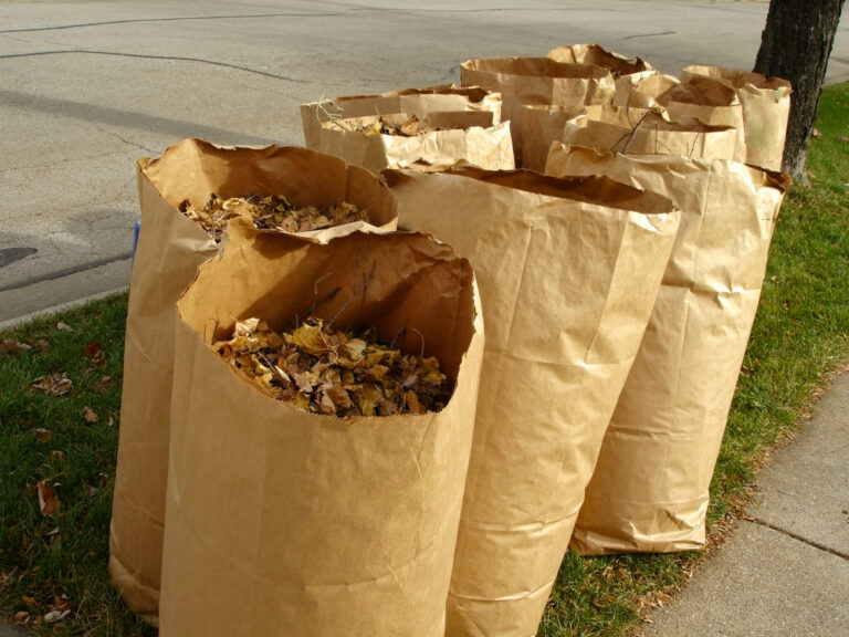 Read more about the article Lawn and Leaf Debris Pickup Notice 2023